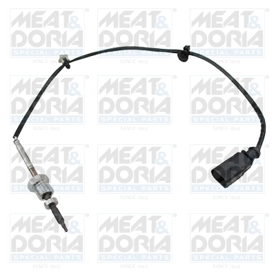 Sensor, exhaust gas temperature